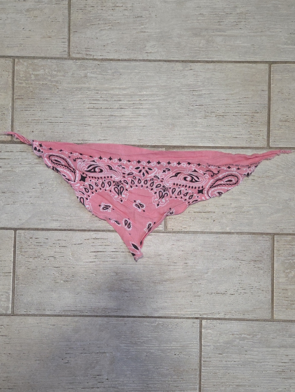 Pink Paisley Doggydana